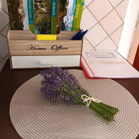 شقة Apartma Metija