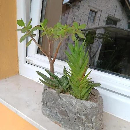 Apartment Metija *