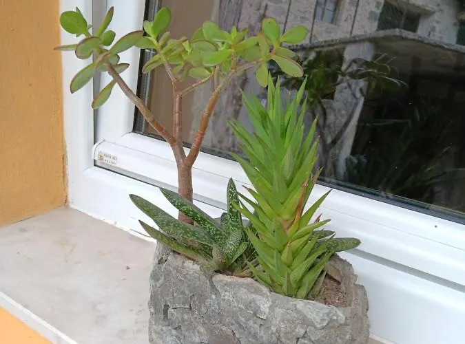 아파트 Apartma Metija *